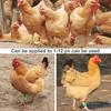 100 Bucăți Inel TPU pentru Pui Rezistent la Căldură Frigostabil Inel pentru Picior de Rață Pui
