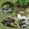 Krokodilkopf für den Außenbereich Hofteich Schwimmende Tierornamente Pool Park Gartendekoration Orn G8Q2