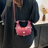 High-end niche bag women's spring 2025 new fashion shoulder messenger bag women's popular mini underarm bag