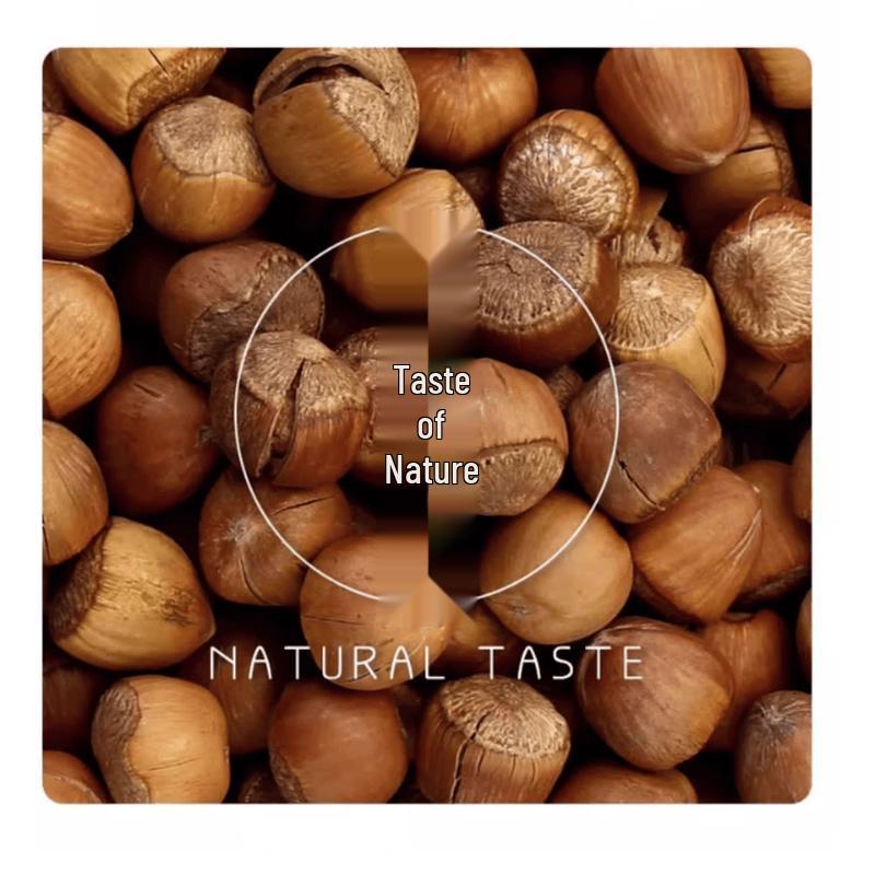 Tangyuan Wild Hazelnuts