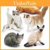 Cat Animal Model Figurine Plastic Lazy Orange Siamese Static Decor For Home Office