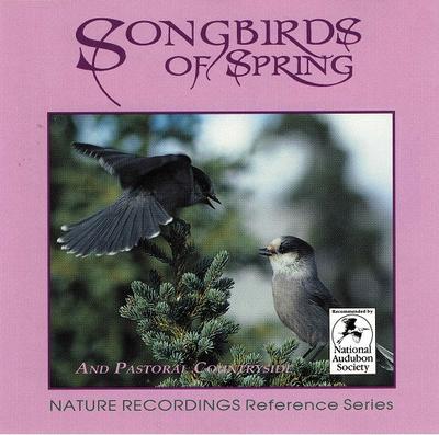 CD NATURE RECORDINGS - Songbirds of Spring  CDN07 Nature Recordin US Comedy & Spoken Word Used
