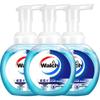 Walch Foam Health Care Hand Wash