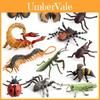Spider Butterfly Pvc Insect Model Set With Realistic Animal Replicas For Educational Play And Collection