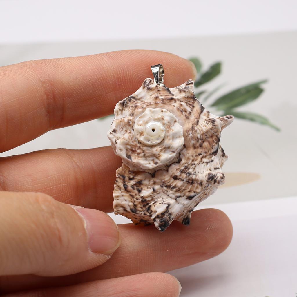 10Pcs Black Conch Pendant Shell Necklace Pendant 20-40mm For Jewelry Making DIY Necklace Bracelet Earrings Accessory