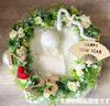Snake hat overalls stuffed toy Snake Year Newborn Photo Shoot Costume Snake Monthly Photo [NANA's shop] & & (Green)