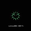 [Naval Watch Co.] Military Watch Mil.-03 Royal Army TypeDial: Black, Band: Olive Green