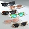 Occhiali da Sole Cat Eye alla Moda da Donna Uomo Esterno Retrò Eleganti Occhiali da Sole Maschere Unisex Resina Protezione UV400 Sportivi Occhiali da Sole Qualità
