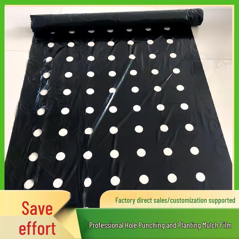 Perforated Black Mulch Film for Moisture Retention and Weed Control in Vegetable and Herbal Planting