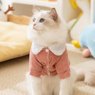 Giyim ve ayakkabı – Köpekler İçin Ceketler ve Montlar
