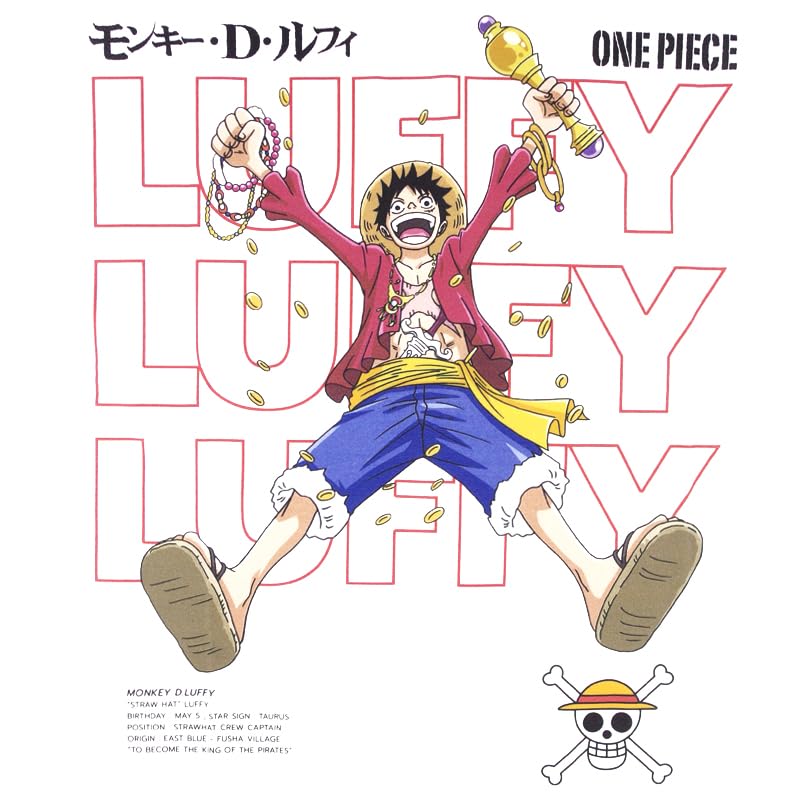 EVERSOUL ONE PIECE Short Featuring the Straw Hat and Character Anime Movie XL Size T-Shirt, Sleeve, Luffy, Chopper, Pirates, Sanji, Zoro, Nami,