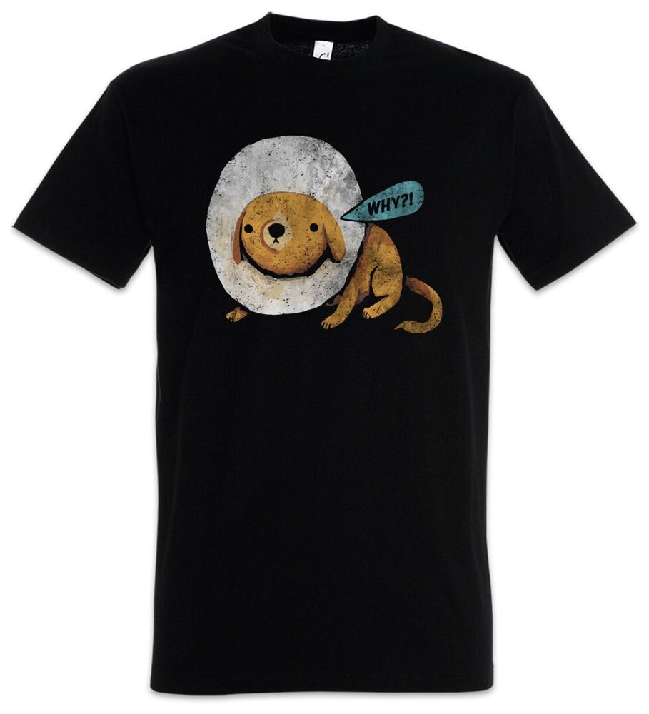 Cone Dog Why T-Shirt Dog Dogs Dawg Love It Is All Fun And Play Until Cones