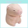 Capybara Toys Plush That Emit Light Childrens Cartoon Animal Toys Gifts Holiday