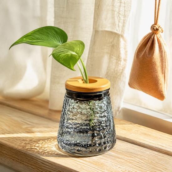 Desktop Flower Vase Hydroponic Planter with Lid, Glass-Like Clear Plant Propagation Station, Minimalist Style for Cuttings, Home Office Desk