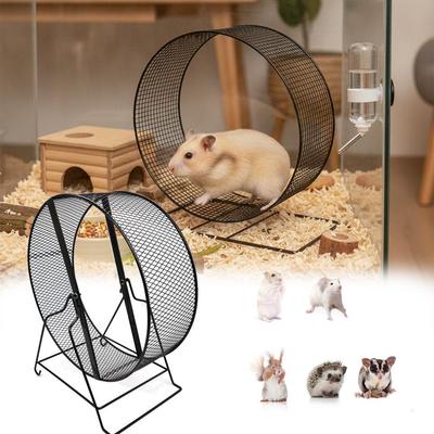 Animalerie – Rongeurs