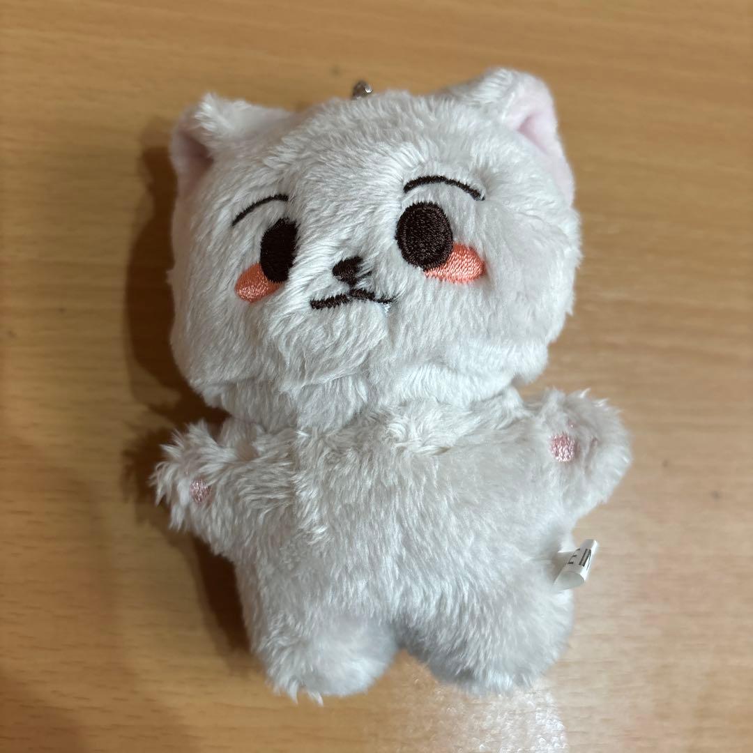 [USED] NCTDREAM Renjun Master Plush Keyring