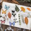 Cusutul și lucrul manual – Scrapbooking