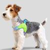 Y-shaped Dog Harness for Small Dogs Shiba Inu Puppy Chest Straps Macaron Color Matching Pet Harness Outdoor Products