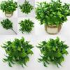 Plastic Citrus Reticulata Blanco Leaf Plant Wall Decor For Garden Landscaping And Indoor Decoration