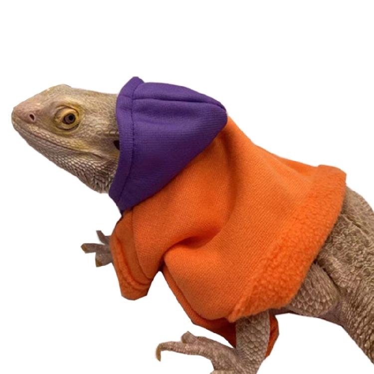 Bearded Dragon Warm Coat Soft Touching Hoodies for Reptiles Geckos Amphibians