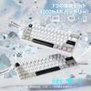 MAMBASNAKE X60HE Rapid Trigger Gaming RT Magnetic 8000Hz Polling Wireless HE SnapKeys No Dead 60 PBT for Coiled Cable Direct Standards Compliance