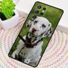 Dalmatian Dog Phone Case for Samsung Galaxy note 10 pro S26 Ultra S23 S24 FE S25 S21 S22 PLUS shockproof Cove
