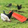 Flip-Top Plastic Bird Feeder Poultry Ground Feeder Pheasant Feeding Bucket Chicken Feed Trough