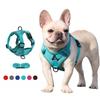 Conjunto de peitoral e guia para animais de estimação, acessórios para cães, peitoral para cães pequenos, buldogue francês, pug, pitbull, filhotes, coleira peitoral, suprimentos para cães