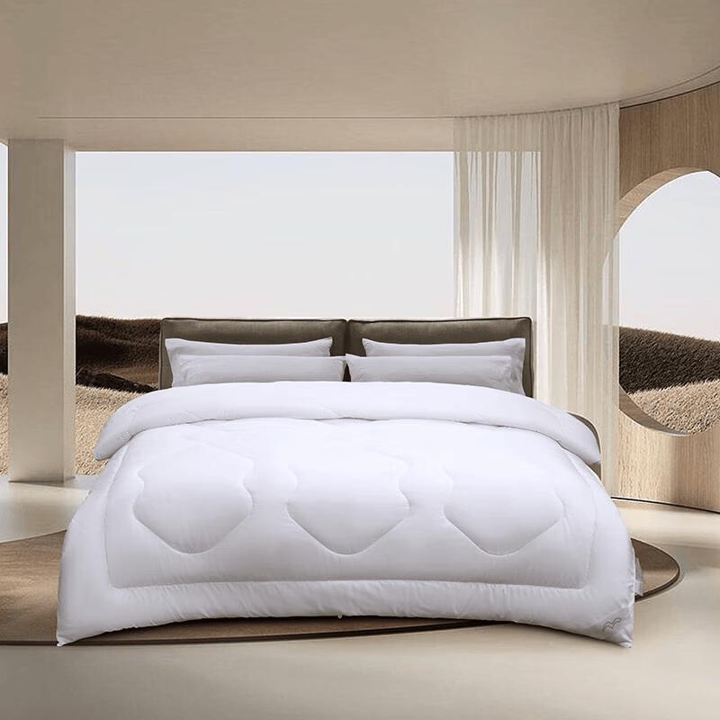 

Mercury Home Textiles DH Dousang Antibacterial All-Season Quilt