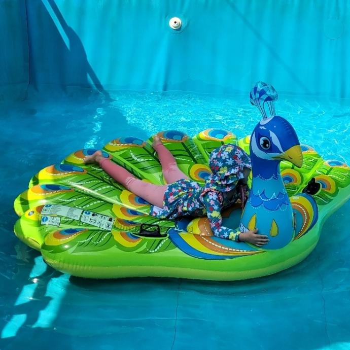 [Intex] Pfauenförmiger Island-Schwimmring 57250 / Flamingo-Aufblasfigur 57558