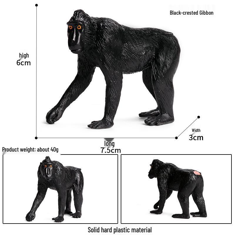 Realistic Animal Heart Model Toy: Lemur, Raccoon, Orangutan, Baboon