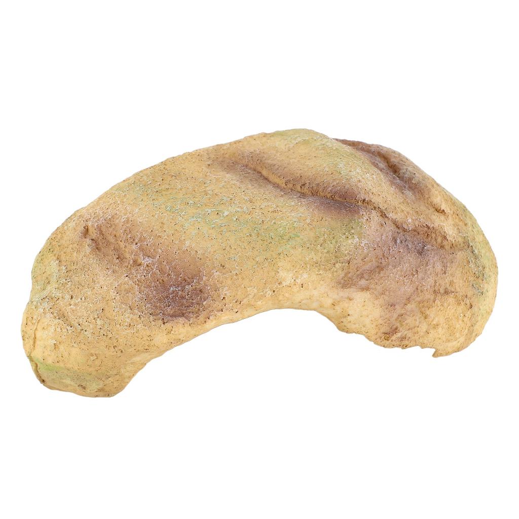 Fish Hiding Cave Resin Fadeless Vivid Comfortable Fish Tank Shelter Decoration for Reptile