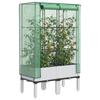 Vidaxl Raised Planter with Greenhouse, Rattan Look, 80X40X140 Cm