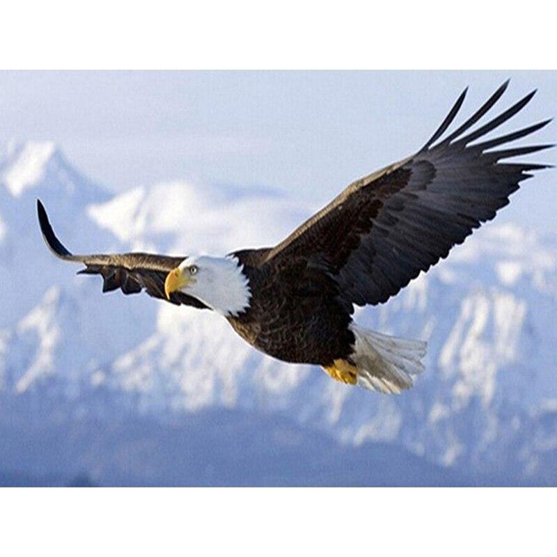 DIY Eagle 5D Diamond Painting Full Round Resin Animal Diamond Embroidery Cross Stitch Kits Mosaic Art Wall Home Decor