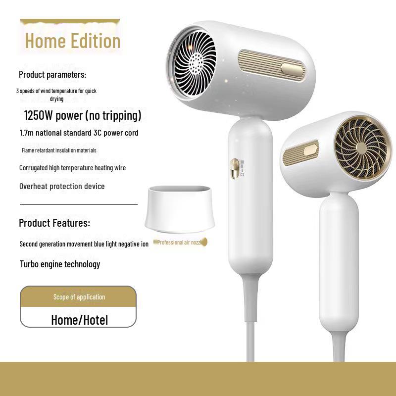 High-Power Blue Light Hair Dryer for Salon and Dorm Use