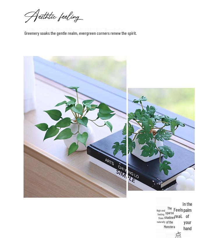 Miniature Succulent Bonsai Desk Ornament: Green Plant Props for Home or Office Decor