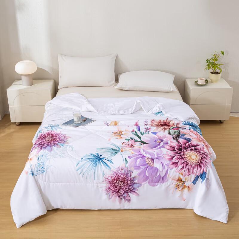 

Louis Caro All-Season Polyester Fiber Quilt