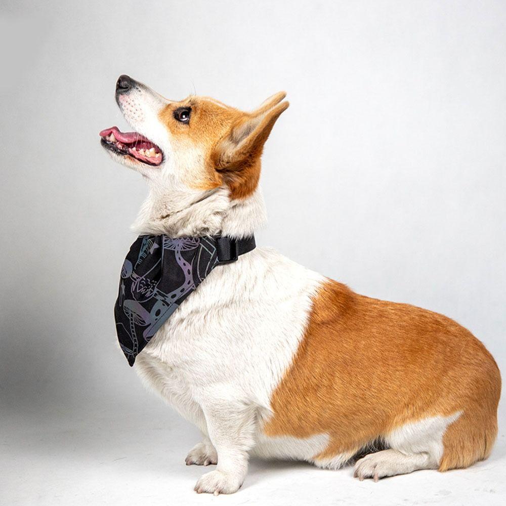 Anti accidental Dog Triangle Scarve Reflective Pet Drool Scarve Pet Reflective Scarf  Pet Collars