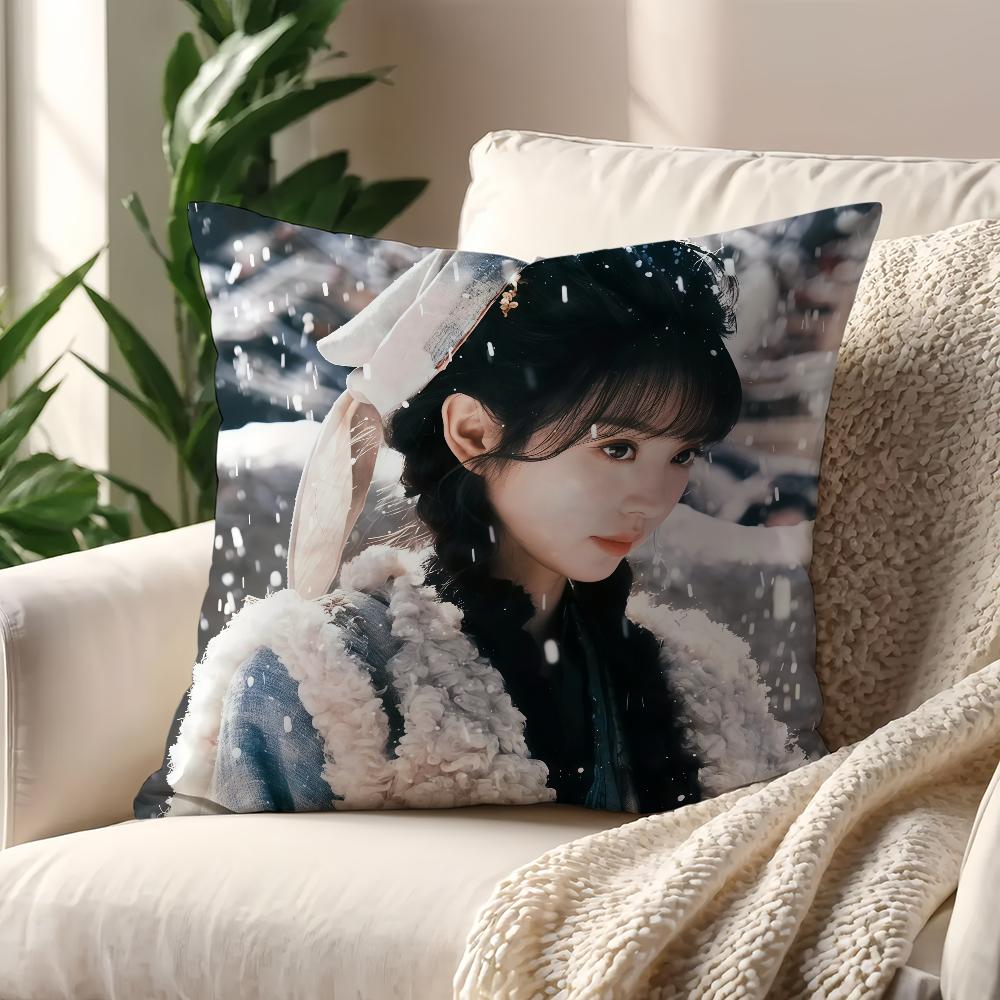 TV Pursuit of Jade Fan Changyu Cushion Cover For Pillow Printing Sofa Decoration Home Room Coffee Shop Office Nordic Simplicity