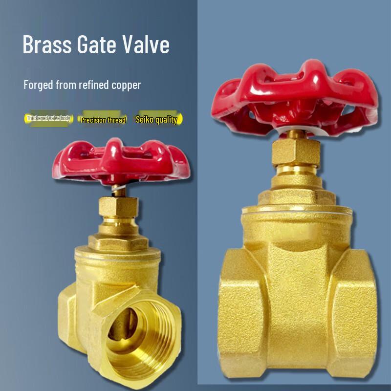ZaoKang DN20 Thickened Brass Gate Valve