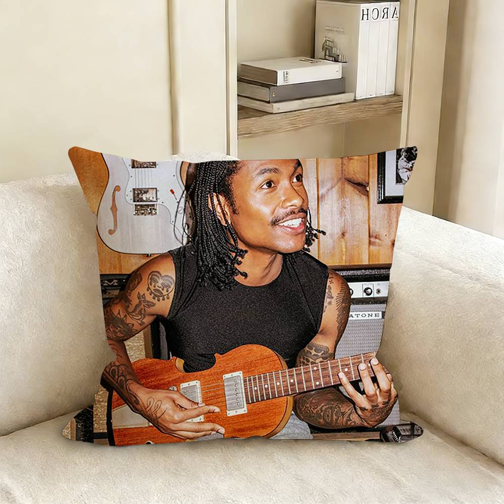 SSteve LLacy Pillow Case Living Room Sofa Cushion Cover Suitable For Home Bedroom Room Decoration