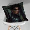 Art FFourth WWing Novel pillow over living room sofa cushion cover home decoration bedroom room bed pillow cover