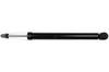 Ft11292 Fast Shock Absorber Rear /R Gas