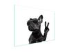 Glass Stovetop Protector 70x52 Dog