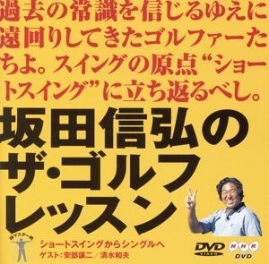 DVD NOBUHIRO SAKATA - Sakata Nobuhiro No Golufu Lesson Sh AKBH24017 AVEX Japan Movies & DVD Used