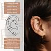 316L Surgical Stainless Steel Nose Hoops Hinged Clicker Septum Rings for Nose Cartilage Body Piercing Jewelry