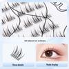 Glue-Free Double-Pointed Sunflower False Eyelashes – Waterproof, Sweatproof, Beginner-Friendly, Natural Look