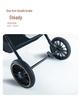 Lightweight Folding Pet Stroller for Small Dogs and Cats