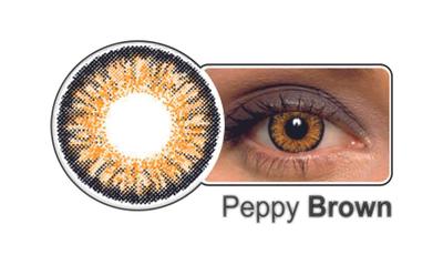 Celebration Color Weekly Coloured Contact Lenses 5 Pairs (Brown, 0.00)