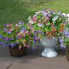 12 Pcs Artificial Pansy Flowers Colorful Long-lasting UV Resistant Faux Silk Flowers Realistic Vibrant Outdoor Flower Bundles